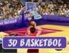 3D Basketbol